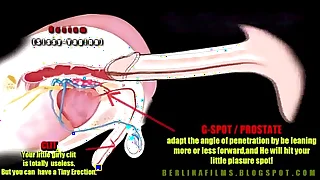 6591 anal porn videos