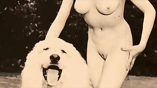 2977 doggystyle porn videos